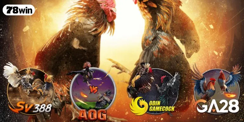 Đá Gà 78WIN – Sân Chơi Hấp Dẫn Với Những Trận Đấu Gay Cấn